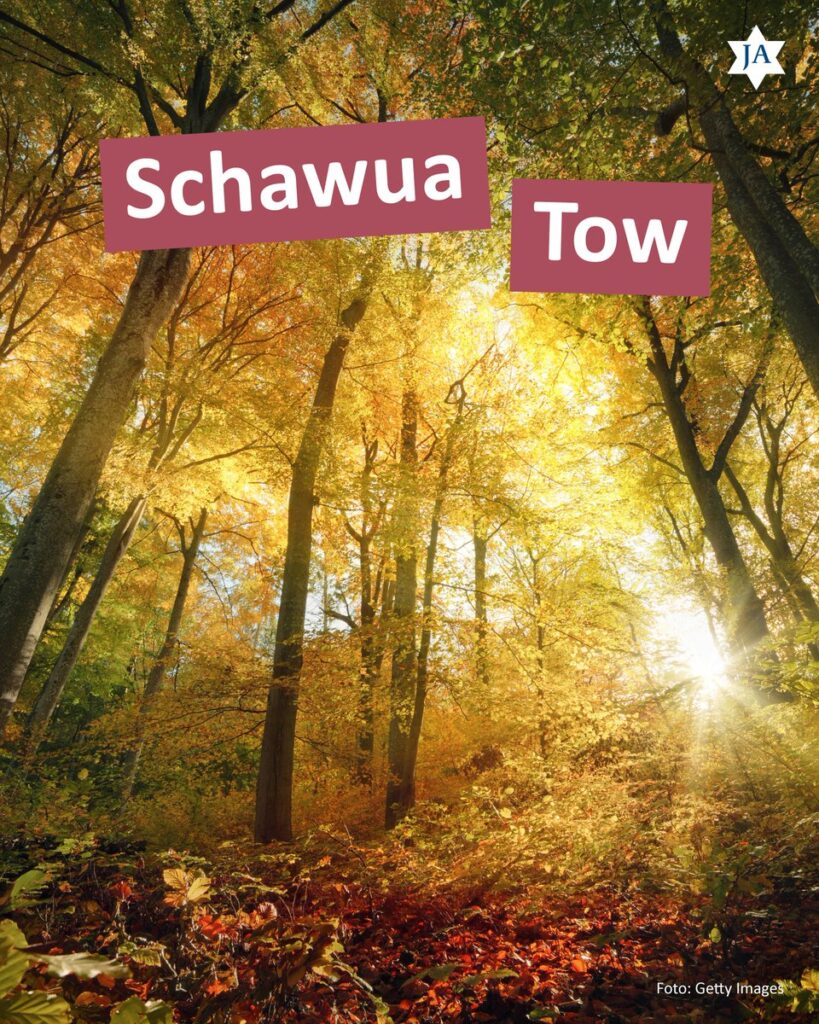 Bild aus dem X-Beitrag
